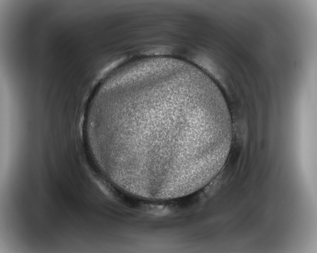 X0000086280159200704122054