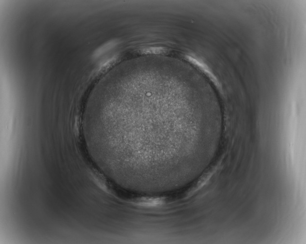 X0000086280161200704122054