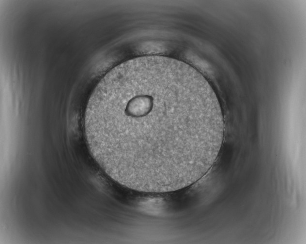 X0000086280162200704122054