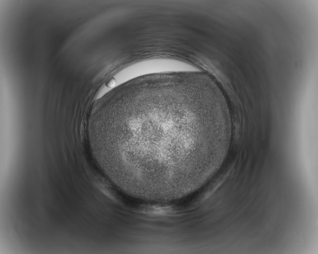 X0000086280165200704122054