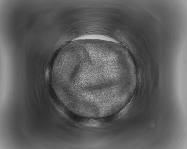 X0000086280166200704122054