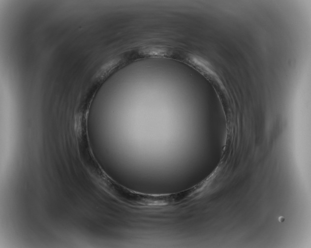 X0000086280167200704122054