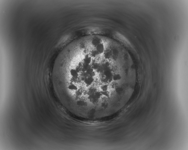 X0000086280169200704122054