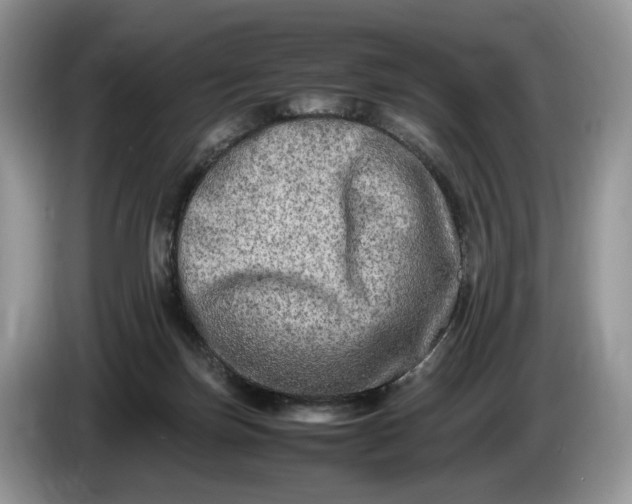 X0000086280171200704122054