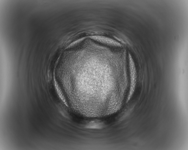 X0000086280173200704122054