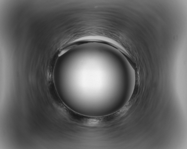 X0000086280176200704122054