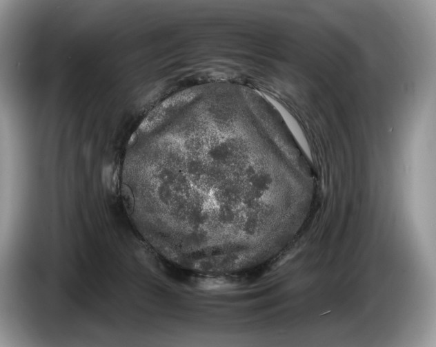 X0000086280177200704122054