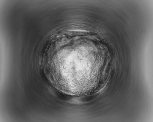 X0000086280178200704122054