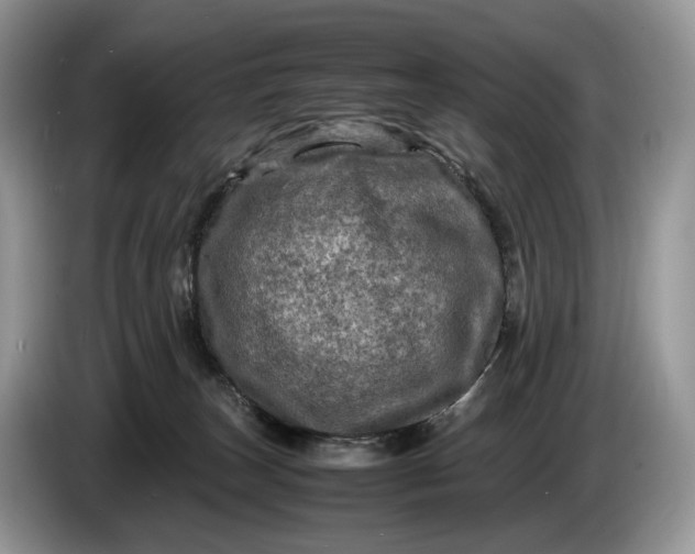 X0000086280179200704122054