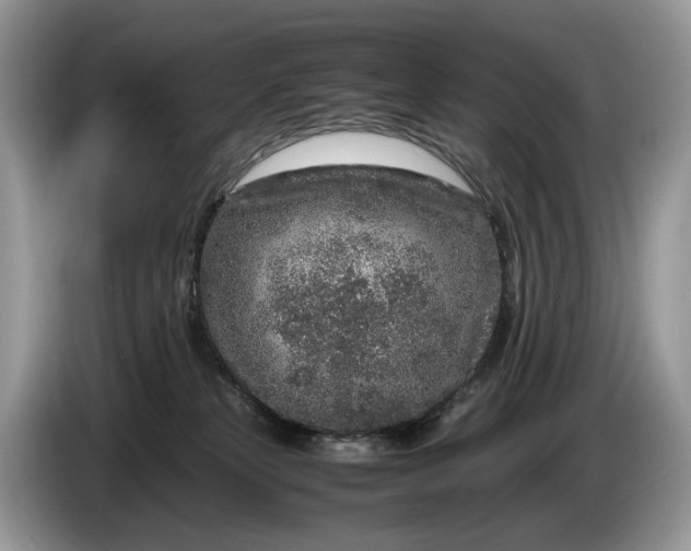 X0000086280181200704122054