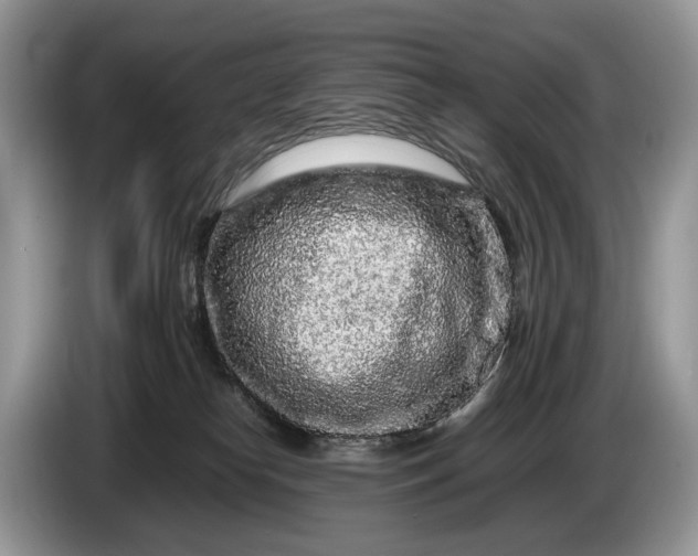 X0000086280182200704122054