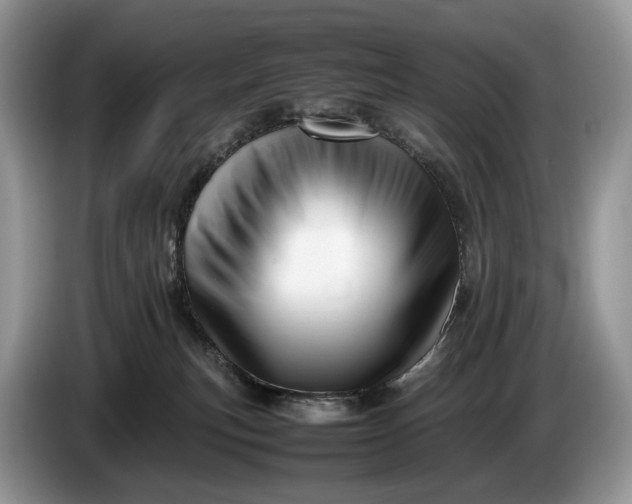 X0000086280183200704122054