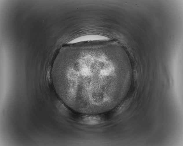 X0000086280185200704122054