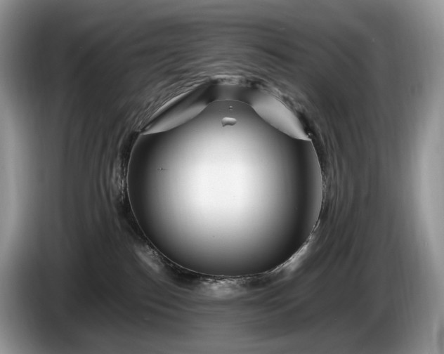 X0000086280186200704122054