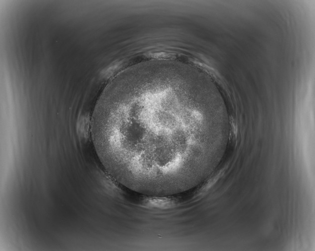 X0000086280189200704122054