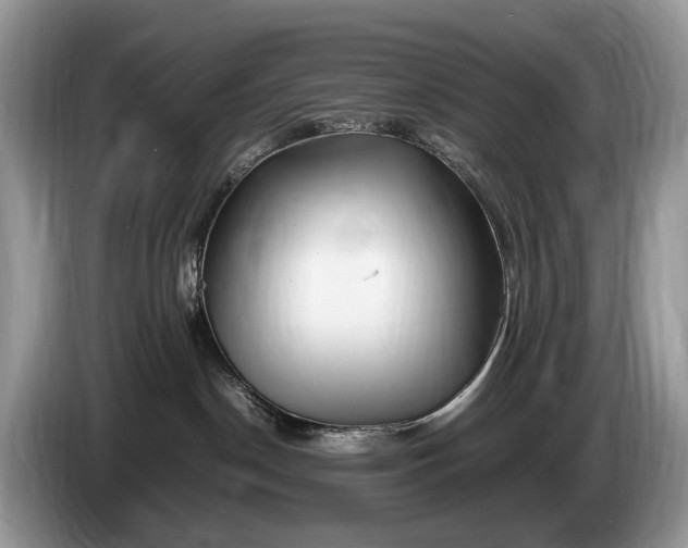 X0000086280190200704122054