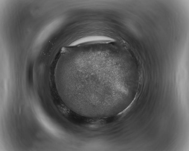 X0000086280191200704122054