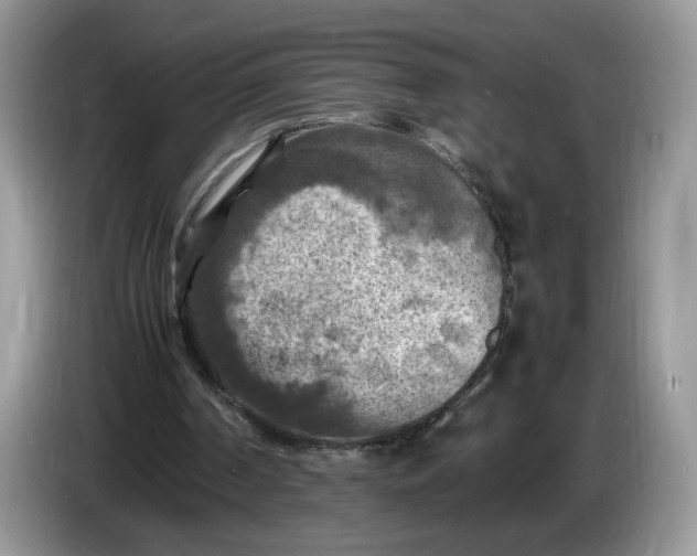 X0000086280194200704122053