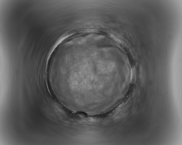 X0000086280195200704122053