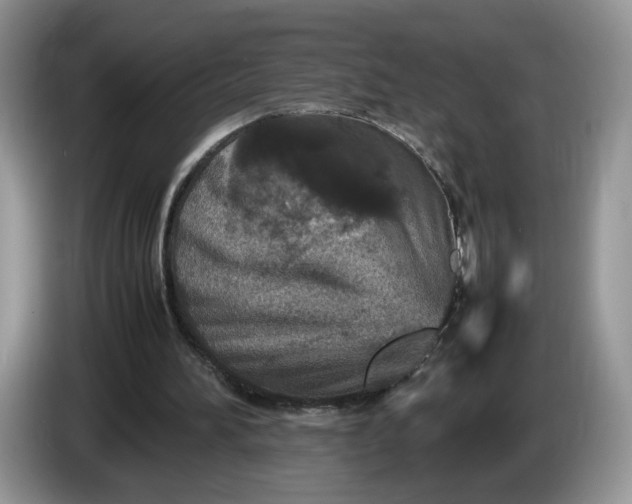 X0000086280196200704122053