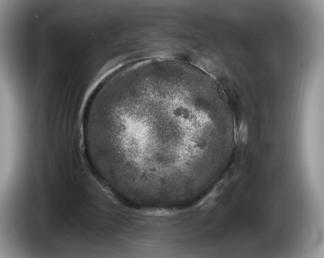 X0000086280198200704122053