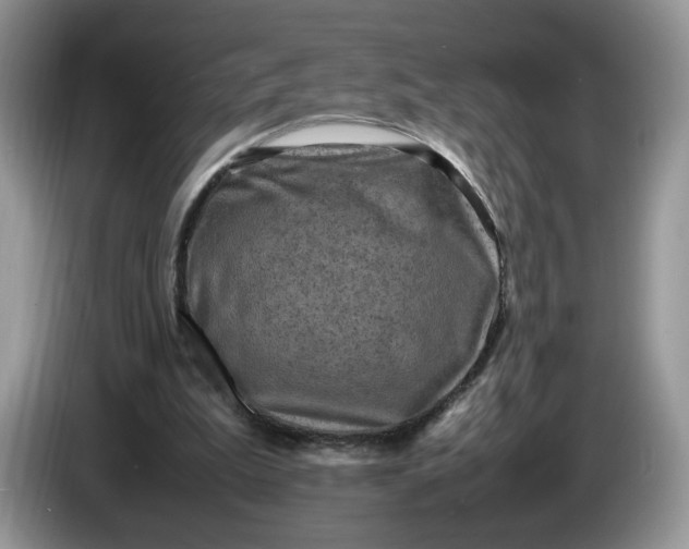 X0000086280199200704122053