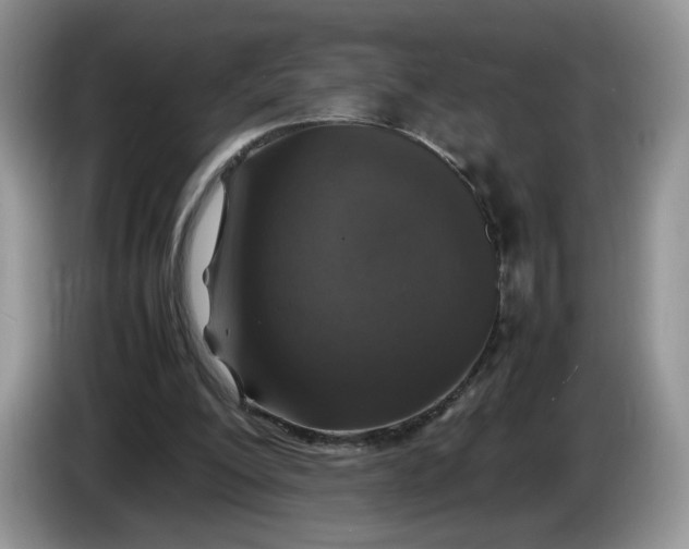 X0000086280200200704122053