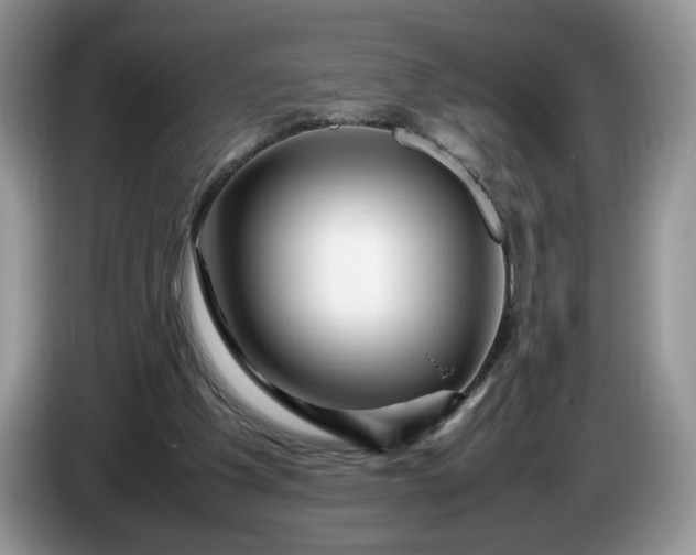 X0000086280201200704122053