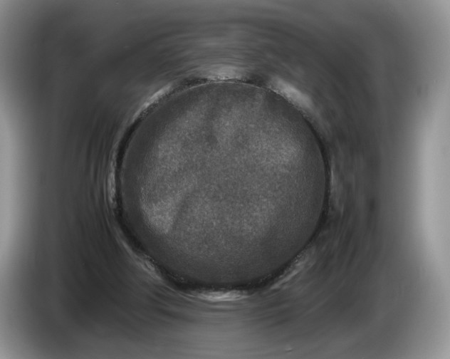 X0000086280202200704122053