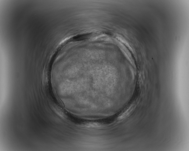 X0000086280203200704122053