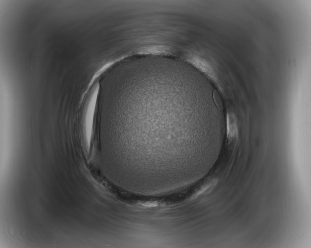 X0000086280204200704122053