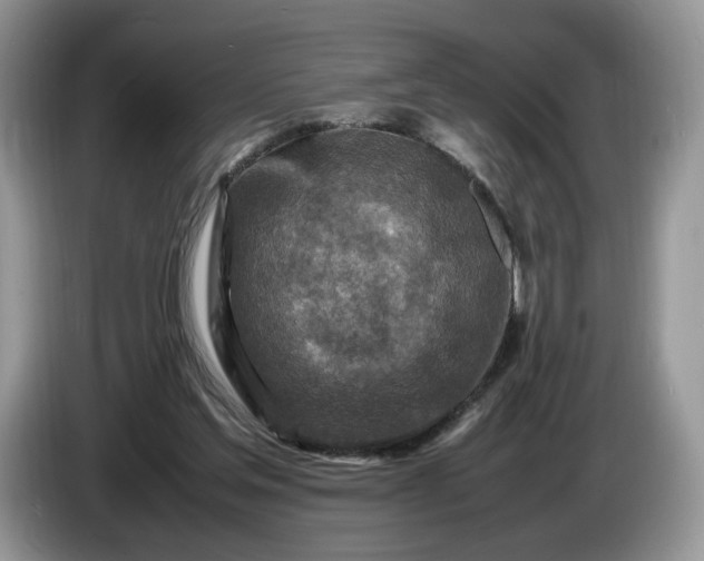 X0000086280205200704122053