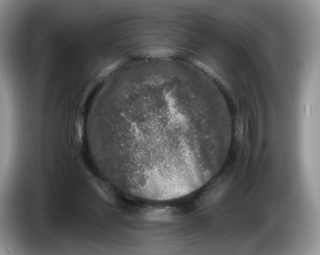 X0000086280206200704122053