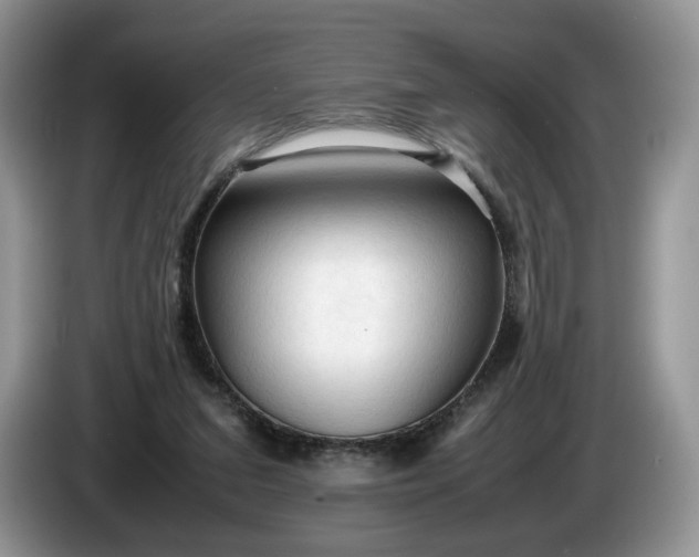 X0000086280207200704122053