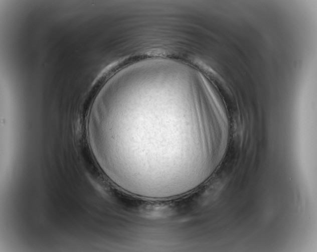 X0000086280208200704122053