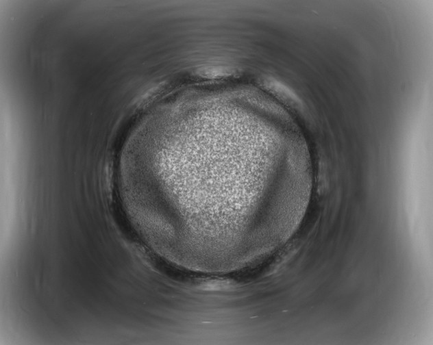 X0000086280210200704122053