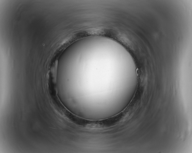 X0000086280211200704122053