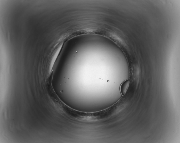 X0000086280212200704122053