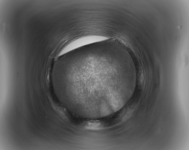 X0000086280214200704122053