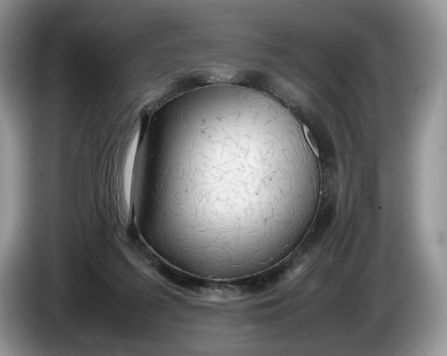 X0000086280215200704122053