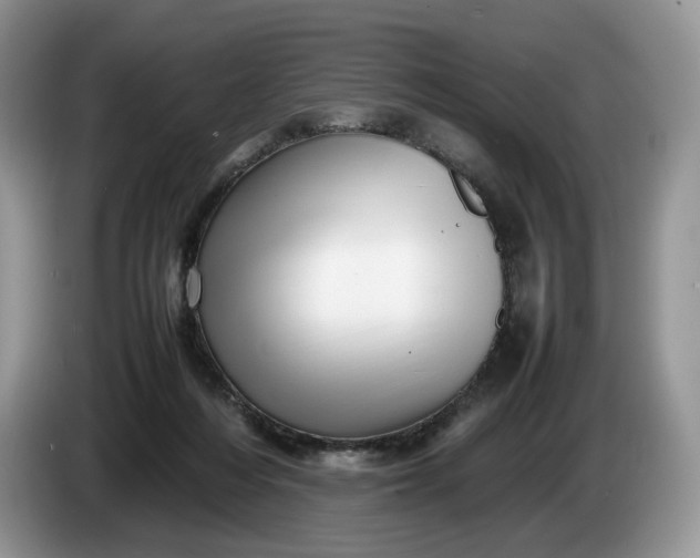 X0000086280216200704122053