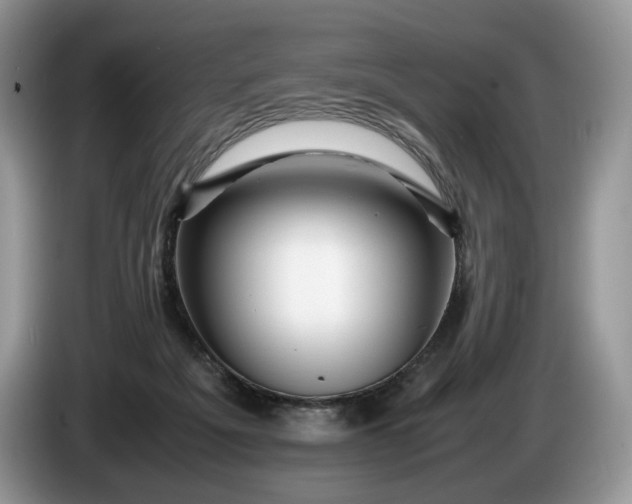 X0000086280217200704122053