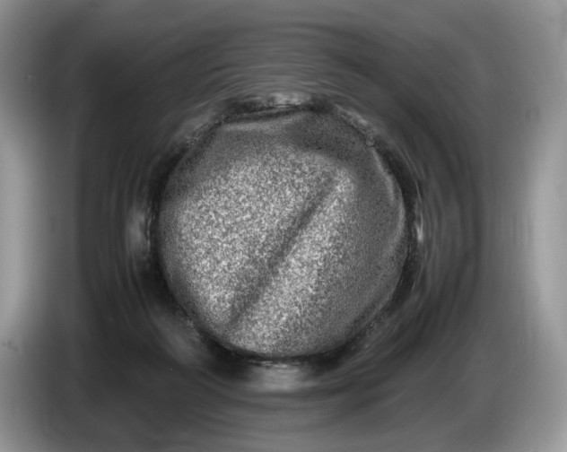 X0000086280218200704122053