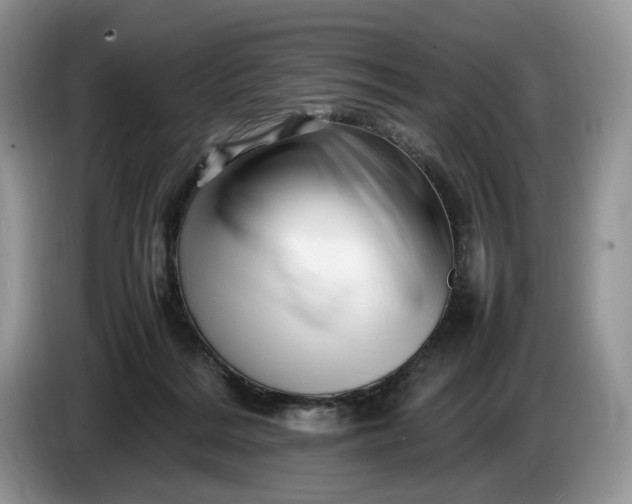 X0000086280220200704122053