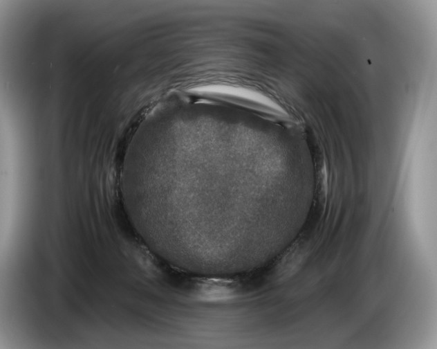 X0000086280222200704122053