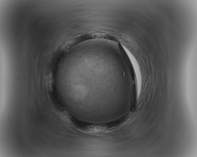 X0000086280223200704122053