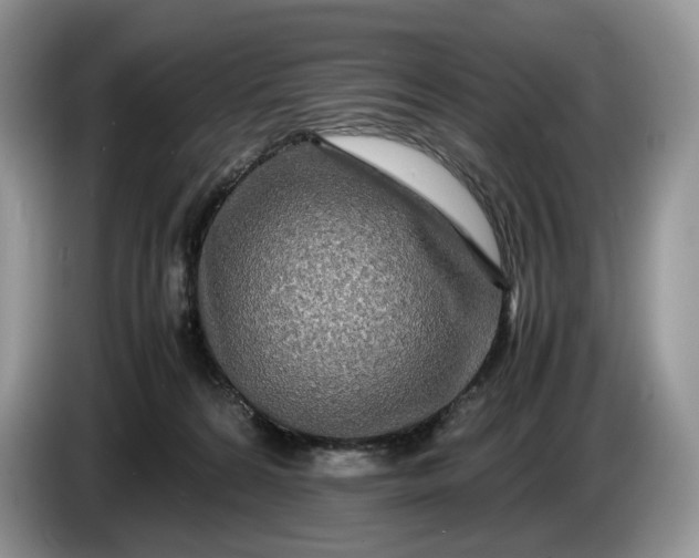 X0000086280224200704122053