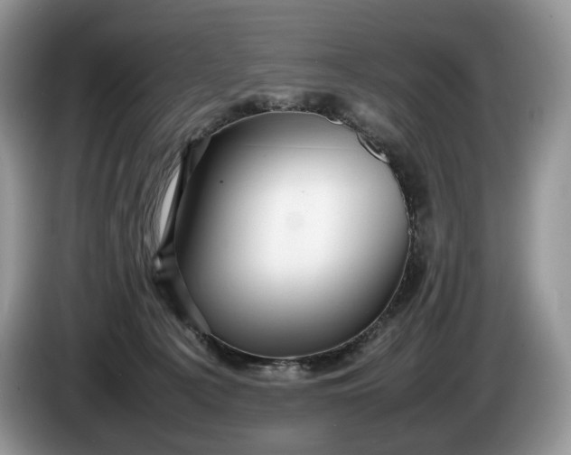 X0000086280225200704122053