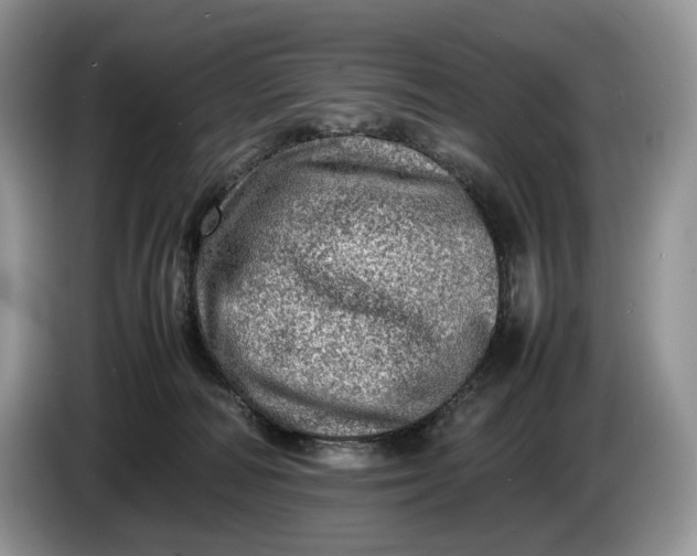 X0000086280226200704122053