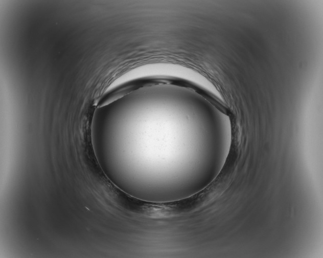 X0000086280229200704122053